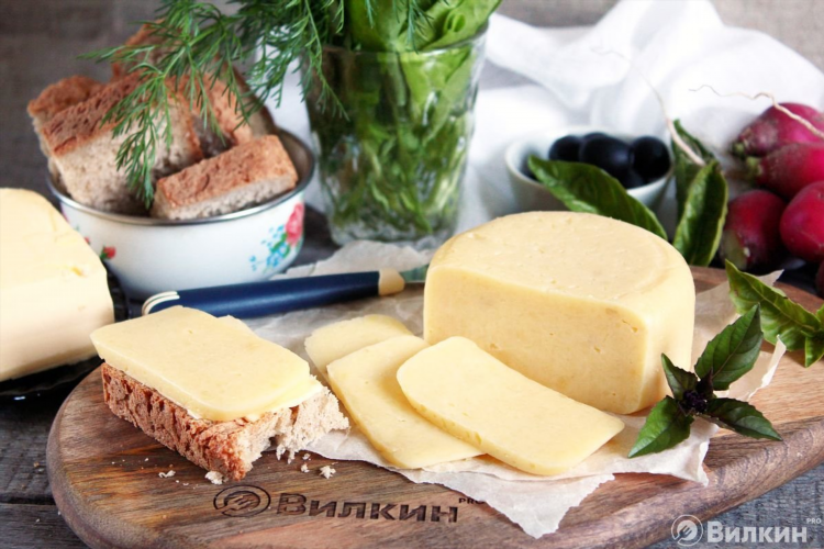 Домашний сыр рецепт из творога и молока