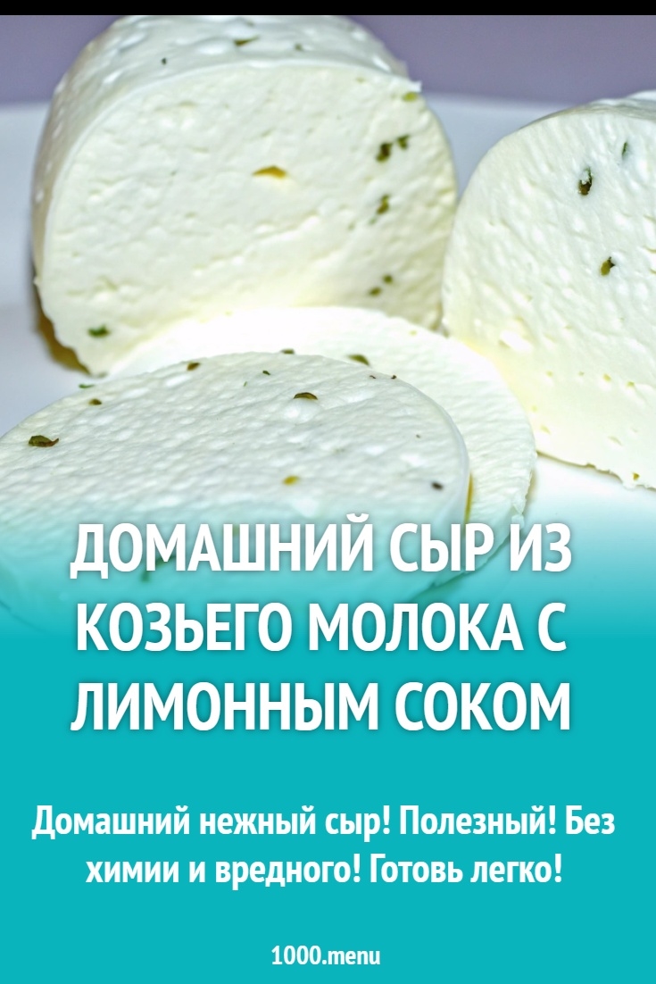 Как приготовить дома сыр из молока