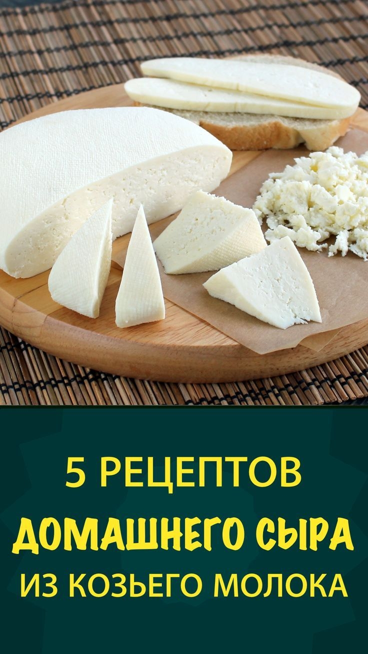 Как сделать сыр из козьего творога