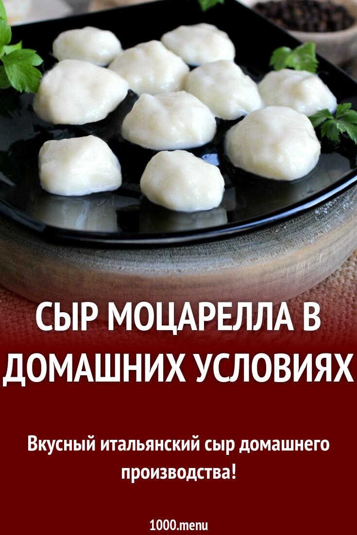 Моцарелла сыр своими руками в домашних условиях